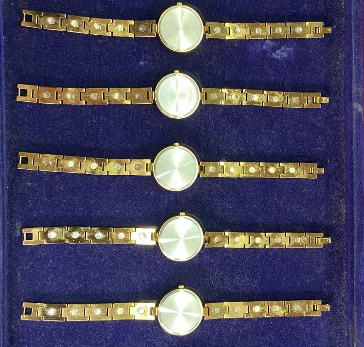 Bio-Magnetic Watch